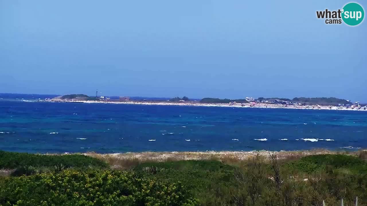 Strand Is Arutas webcam | Oristano – Sardinien