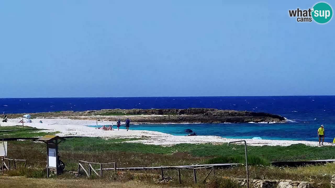 Is Arutas webcam beach | Oristano – Sardinia