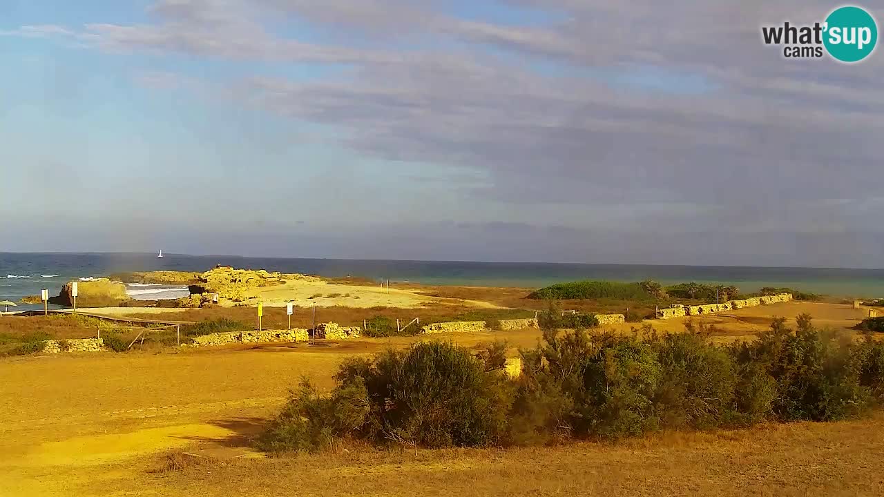 Is Arutas webcam beach | Oristano – Sardinia