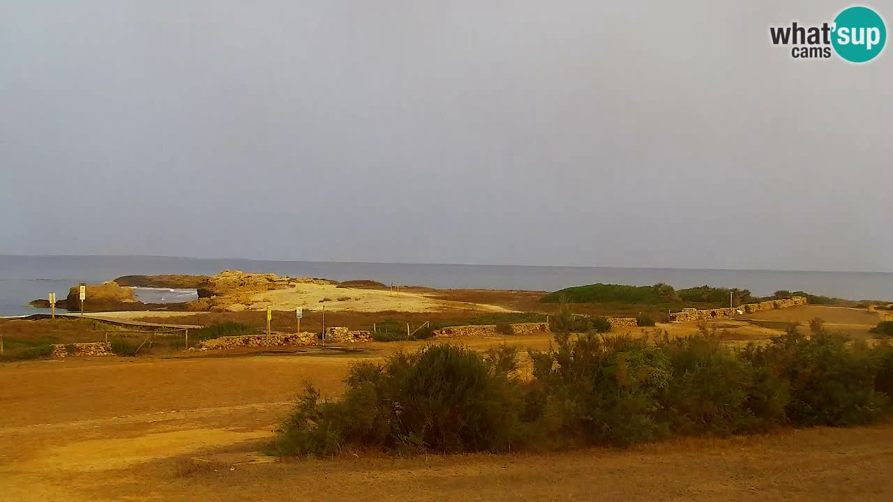 Strand Is Arutas webcam | Oristano – Sardinien