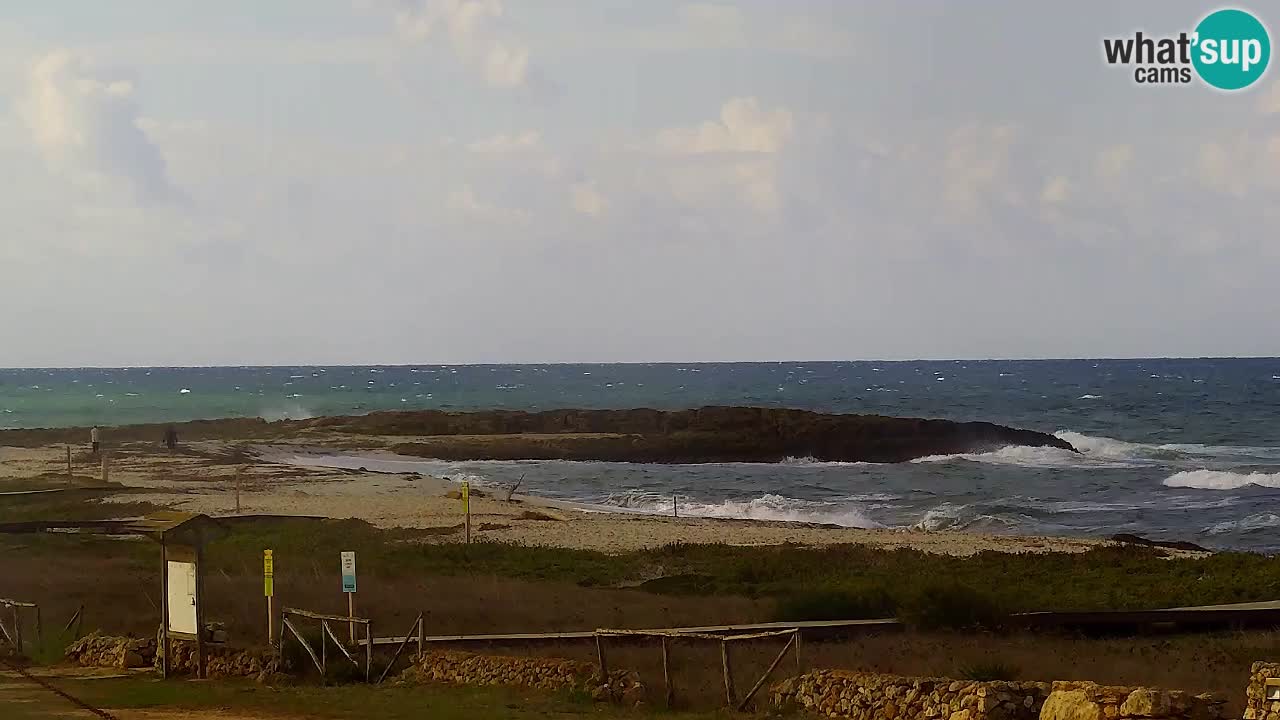 Plaža Is Arutas kamera | Oristano – Sardinija