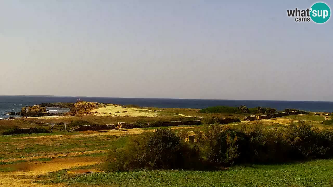 Web kamera Is Arutas plaža | Oristano – Sardinija