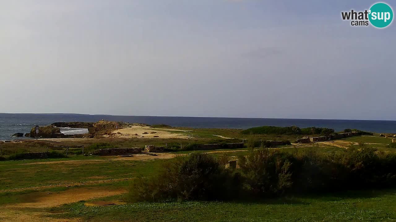 Webcam Is Arutas spiaggia | Oristano – Sardegna