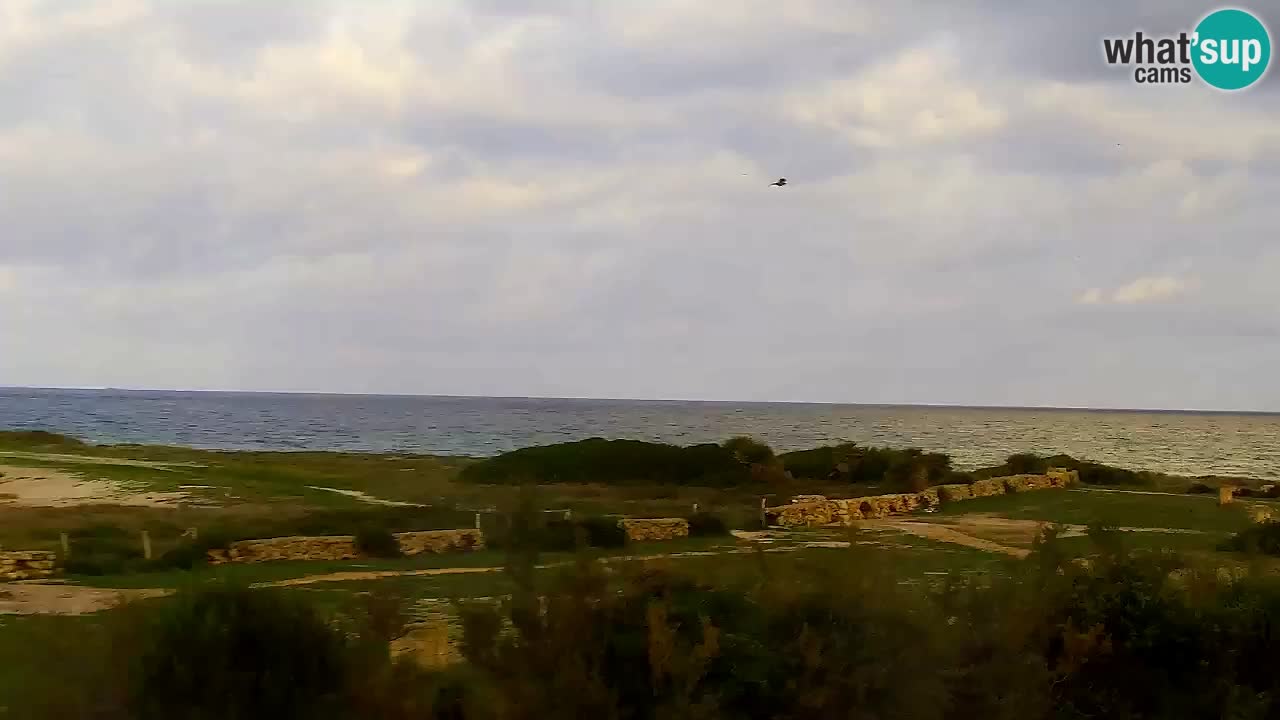 Is Arutas webcam beach | Oristano – Sardinia