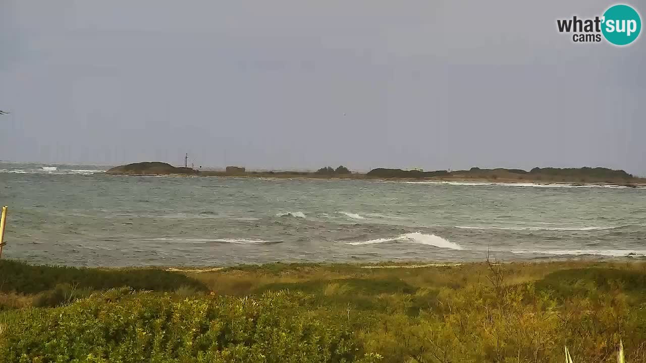 Webcam Is Arutas spiaggia | Oristano – Sardegna