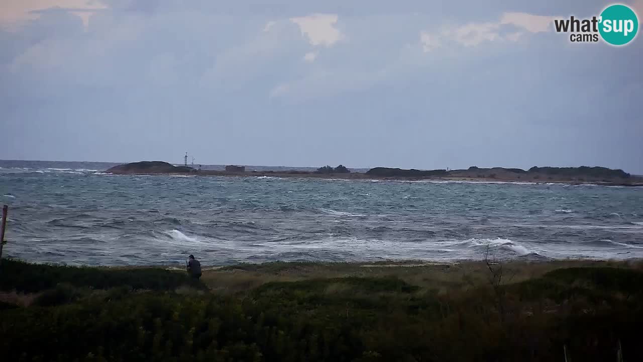 Strand Is Arutas webcam | Oristano – Sardinien