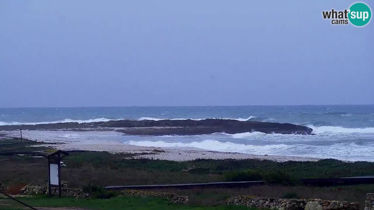 Plaža Is Arutas kamera | Oristano – Sardinija