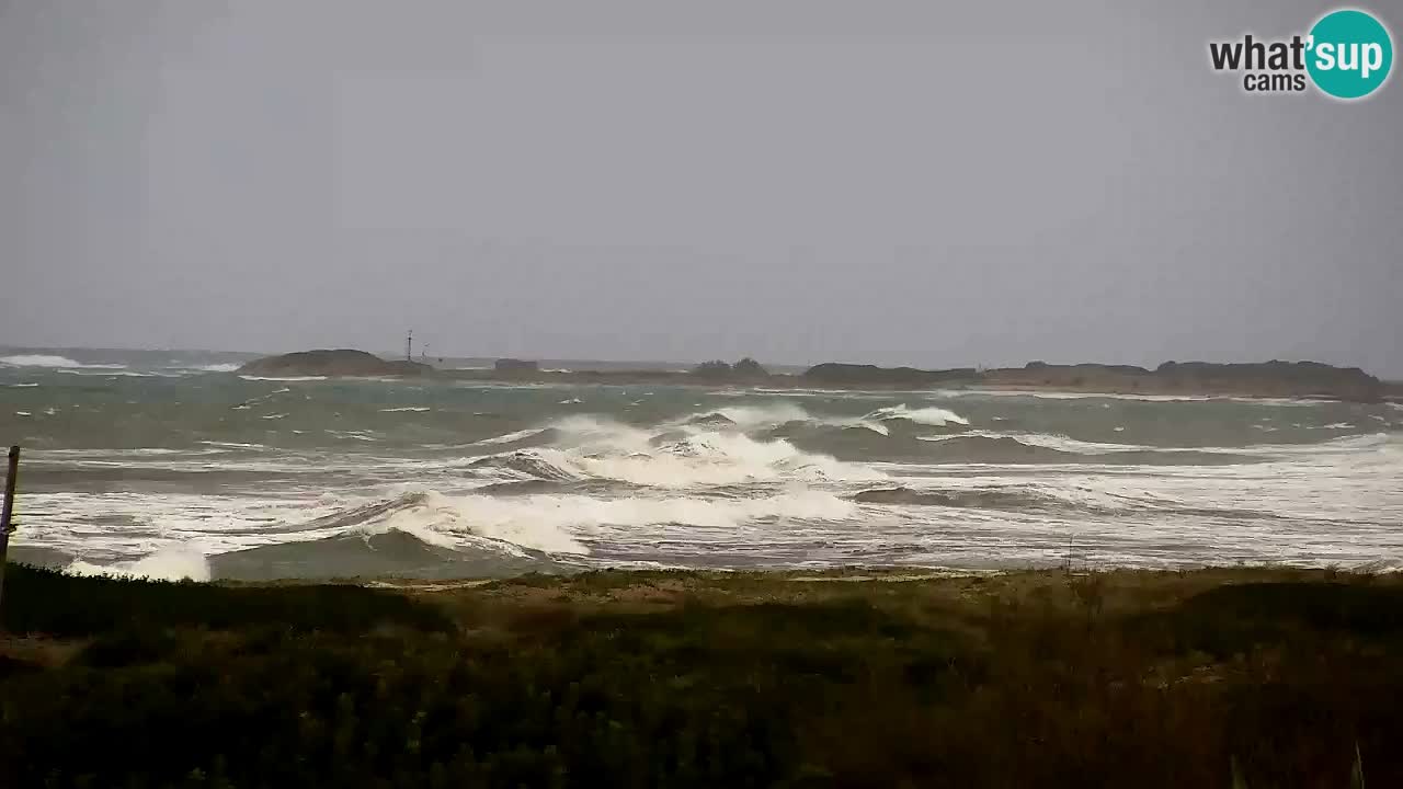 Webcam Is Arutas spiaggia | Oristano – Sardegna