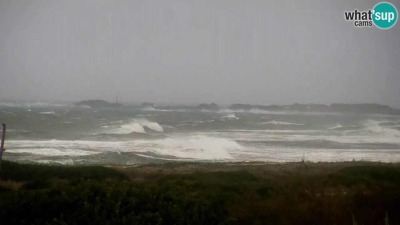 Strand Is Arutas webcam | Oristano – Sardinien