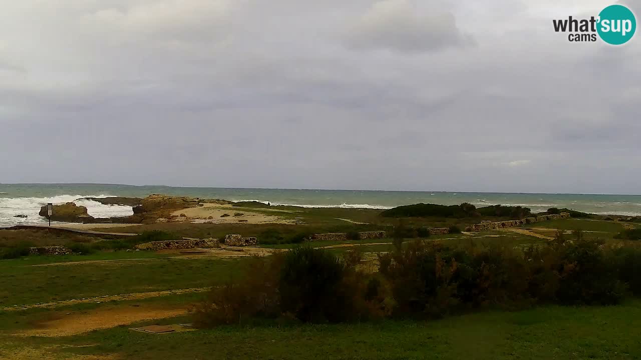 Plaža Is Arutas kamera | Oristano – Sardinija