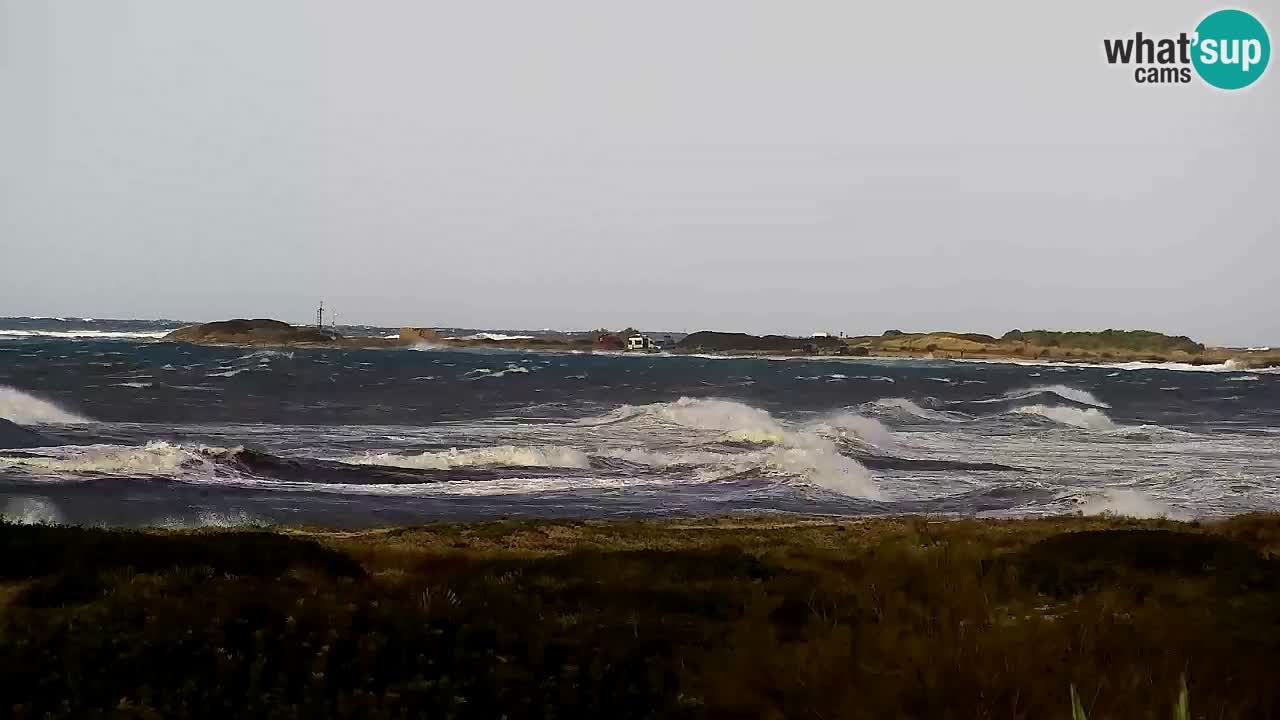 Plaža Is Arutas kamera | Oristano – Sardinija