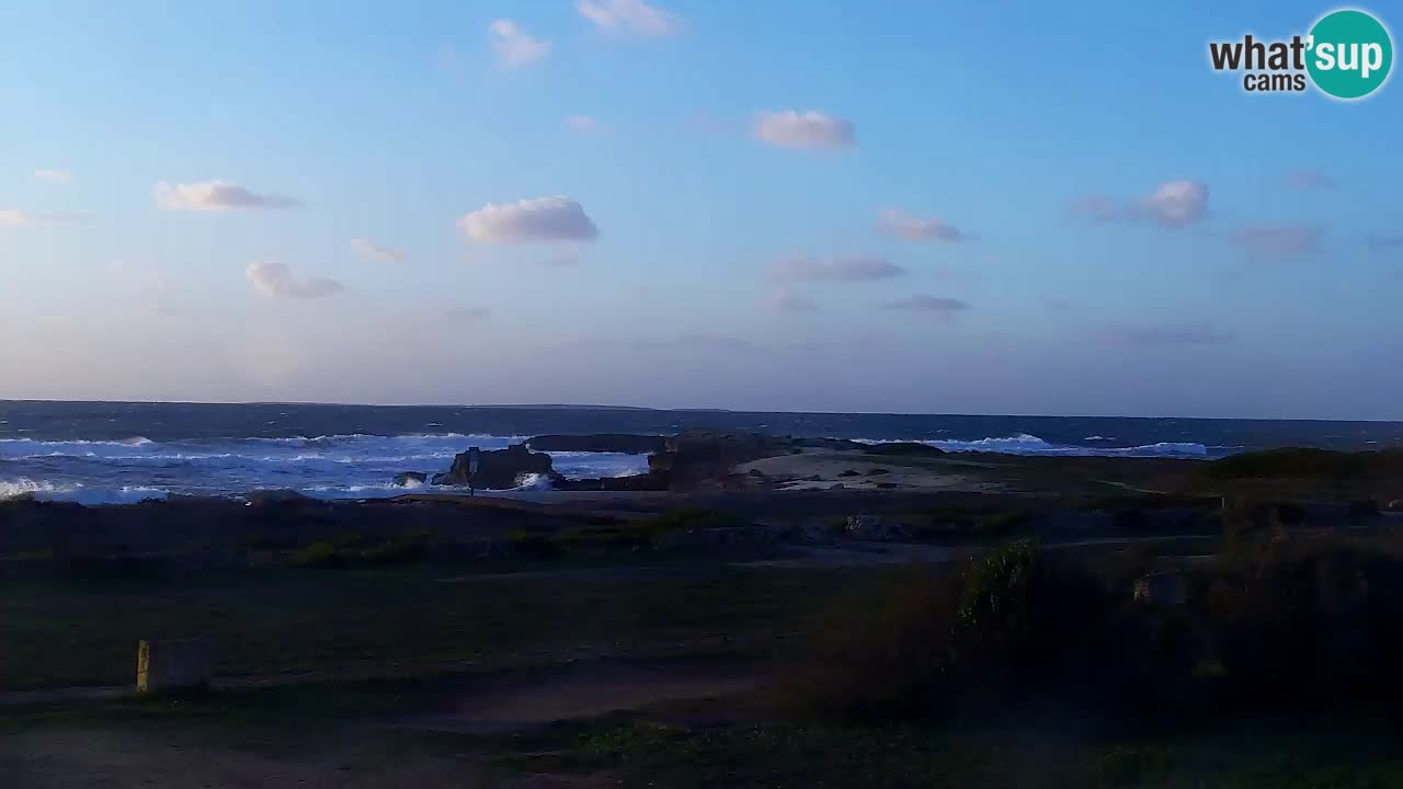 Plaža Is Arutas kamera | Oristano – Sardinija