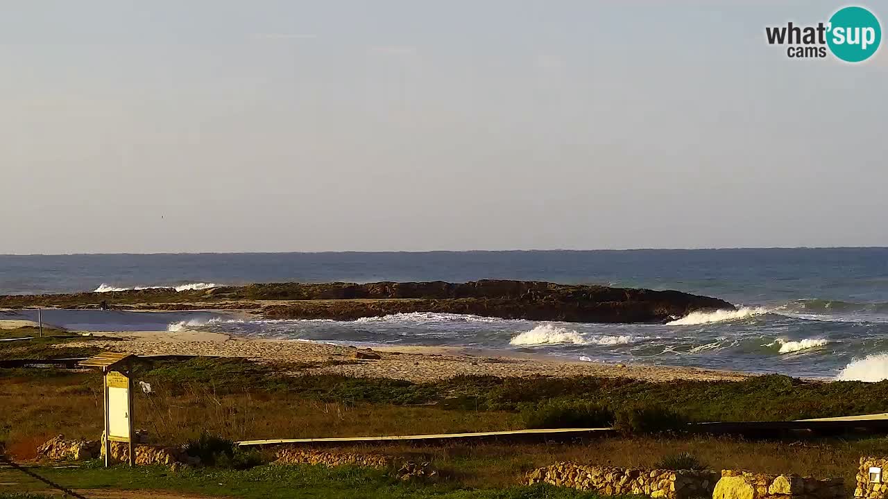 Strand Is Arutas webcam | Oristano – Sardinien