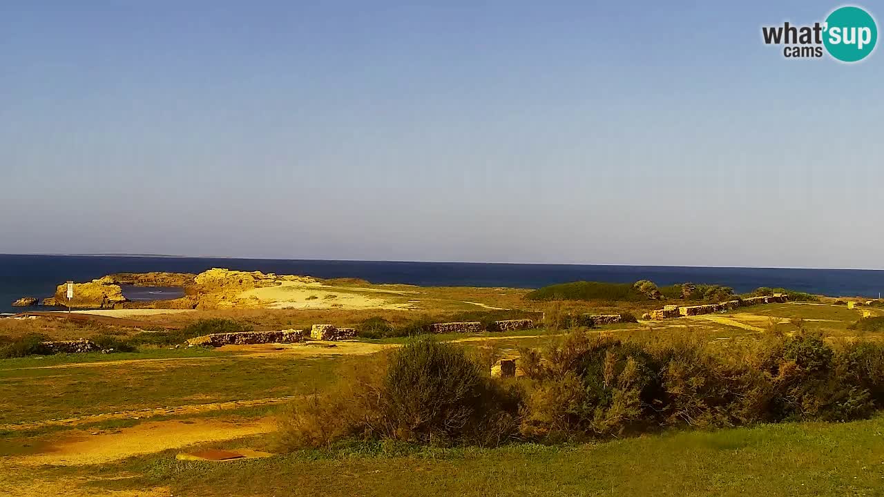 Strand Is Arutas webcam | Oristano – Sardinien