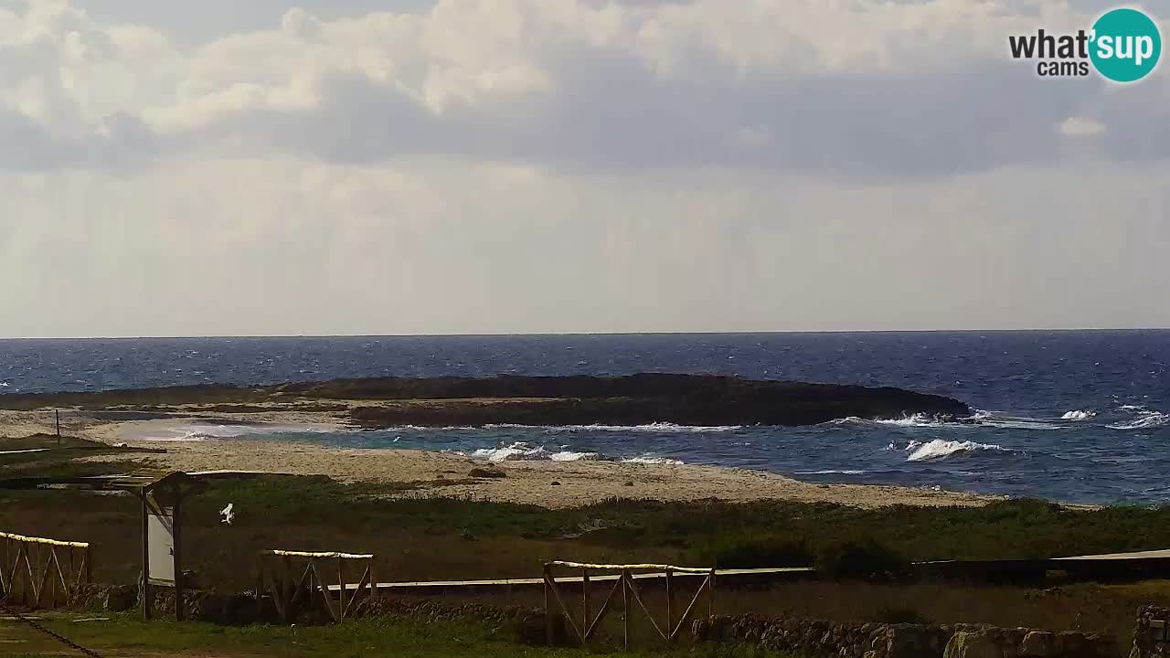 Strand Is Arutas webcam | Oristano – Sardinien