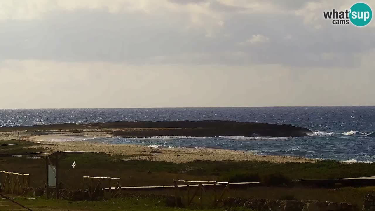 Strand Is Arutas webcam | Oristano – Sardinien