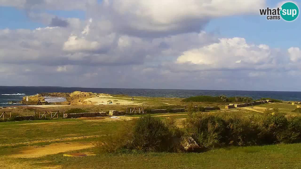 Is Arutas camera en vivo | Oristano – Cerdeña