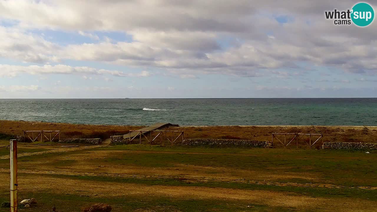 Is Arutas webcam beach | Oristano – Sardinia