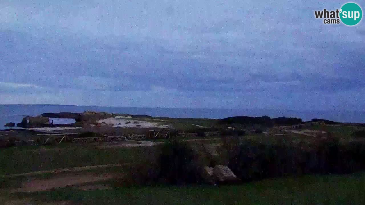 Is Arutas camera en vivo | Oristano – Cerdeña