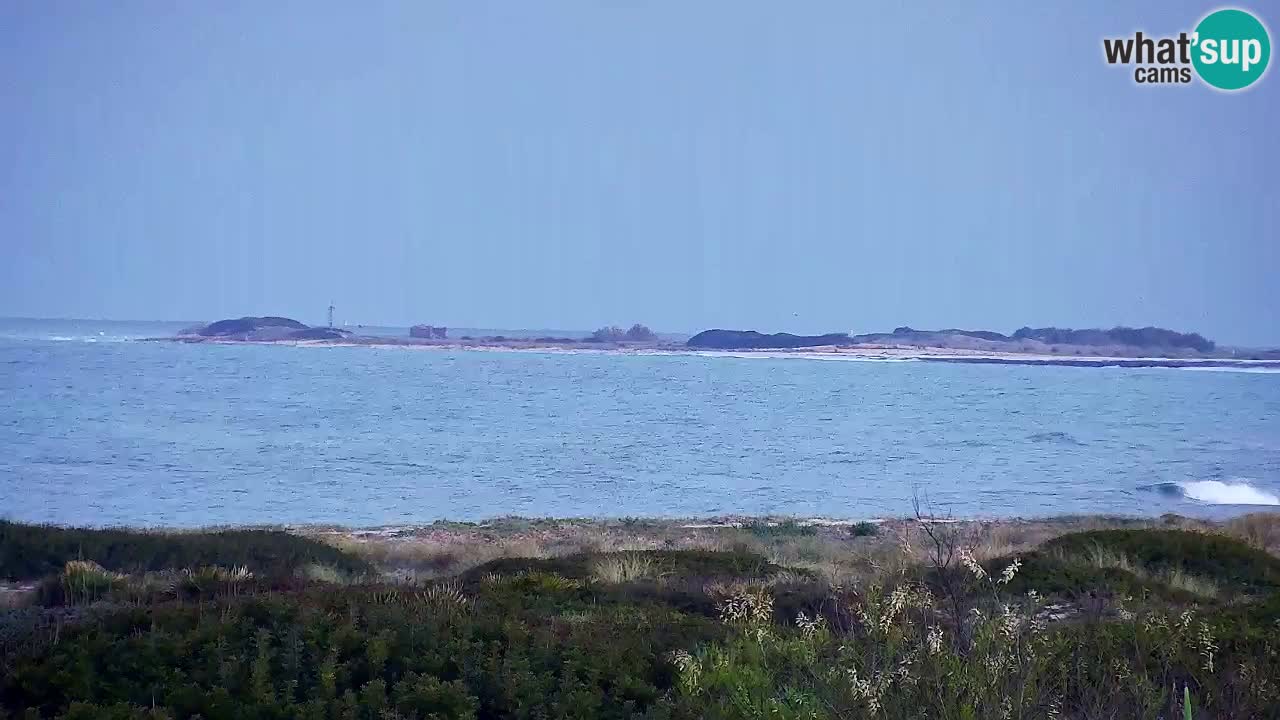 Webcam Is Arutas spiaggia | Oristano – Sardegna