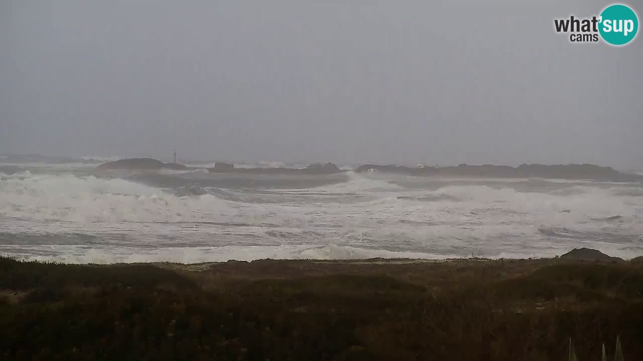 Is Arutas camera en vivo | Oristano – Cerdeña