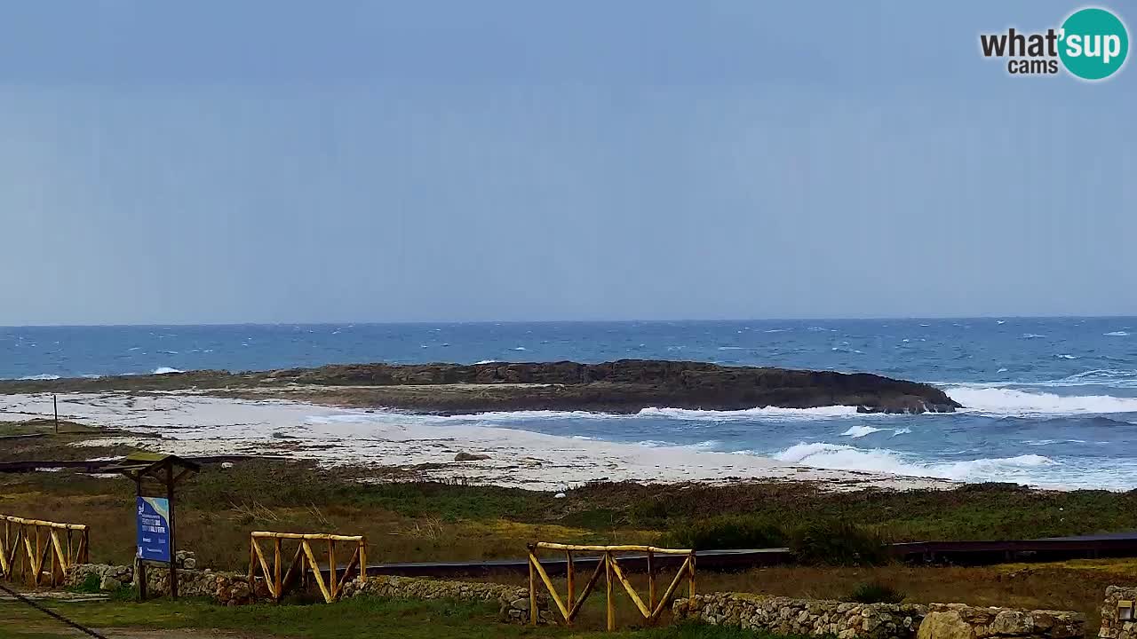 Strand Is Arutas webcam | Oristano – Sardinien