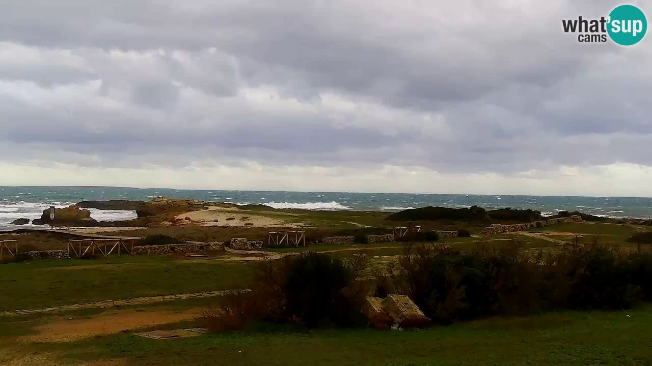 Strand Is Arutas webcam | Oristano – Sardinien