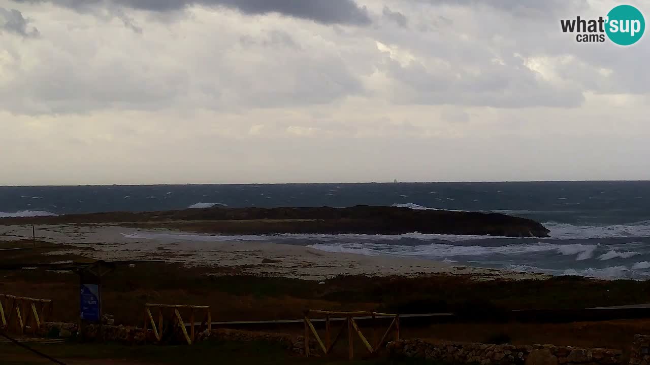 Plaža Is Arutas kamera | Oristano – Sardinija