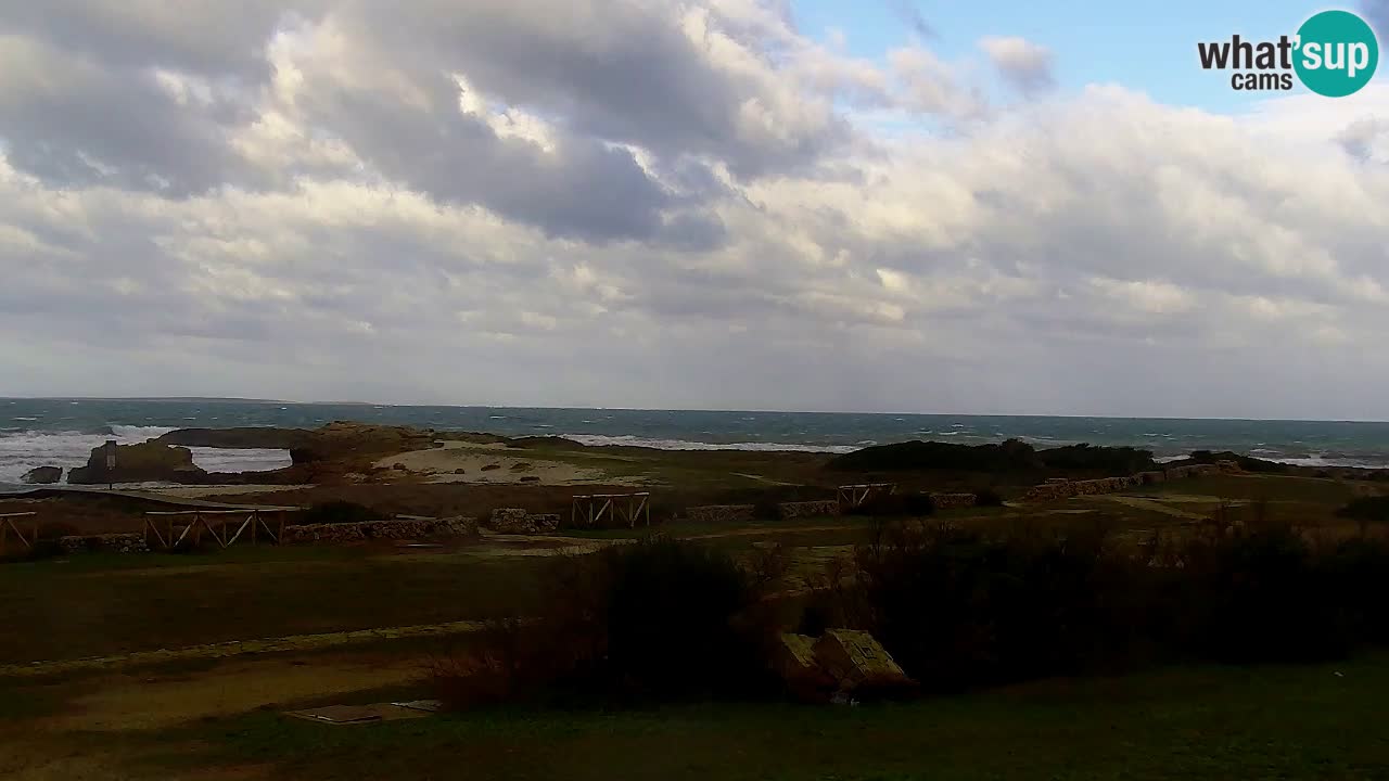 Is Arutas webcam beach | Oristano – Sardinia