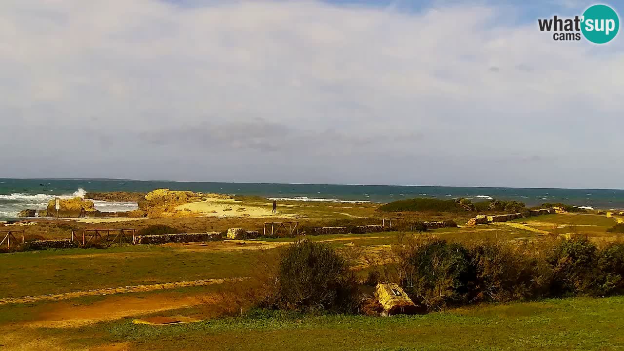 Is Arutas webcam beach | Oristano – Sardinia