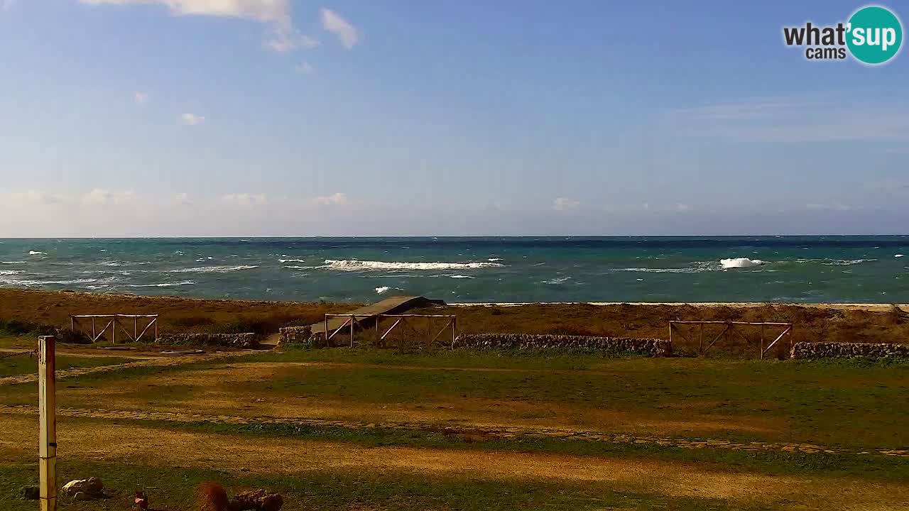 Strand Is Arutas webcam | Oristano – Sardinien