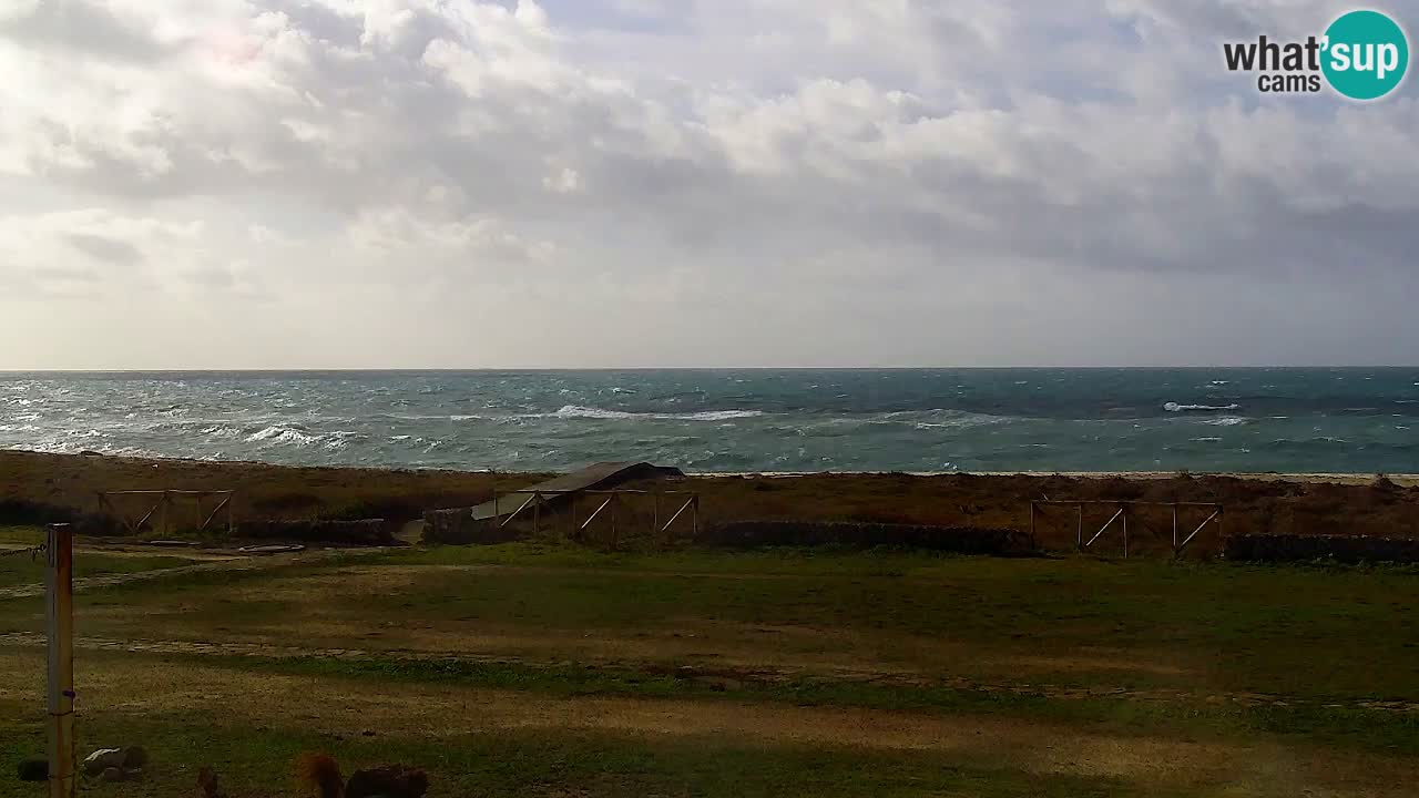 Webcam Is Arutas spiaggia | Oristano – Sardegna