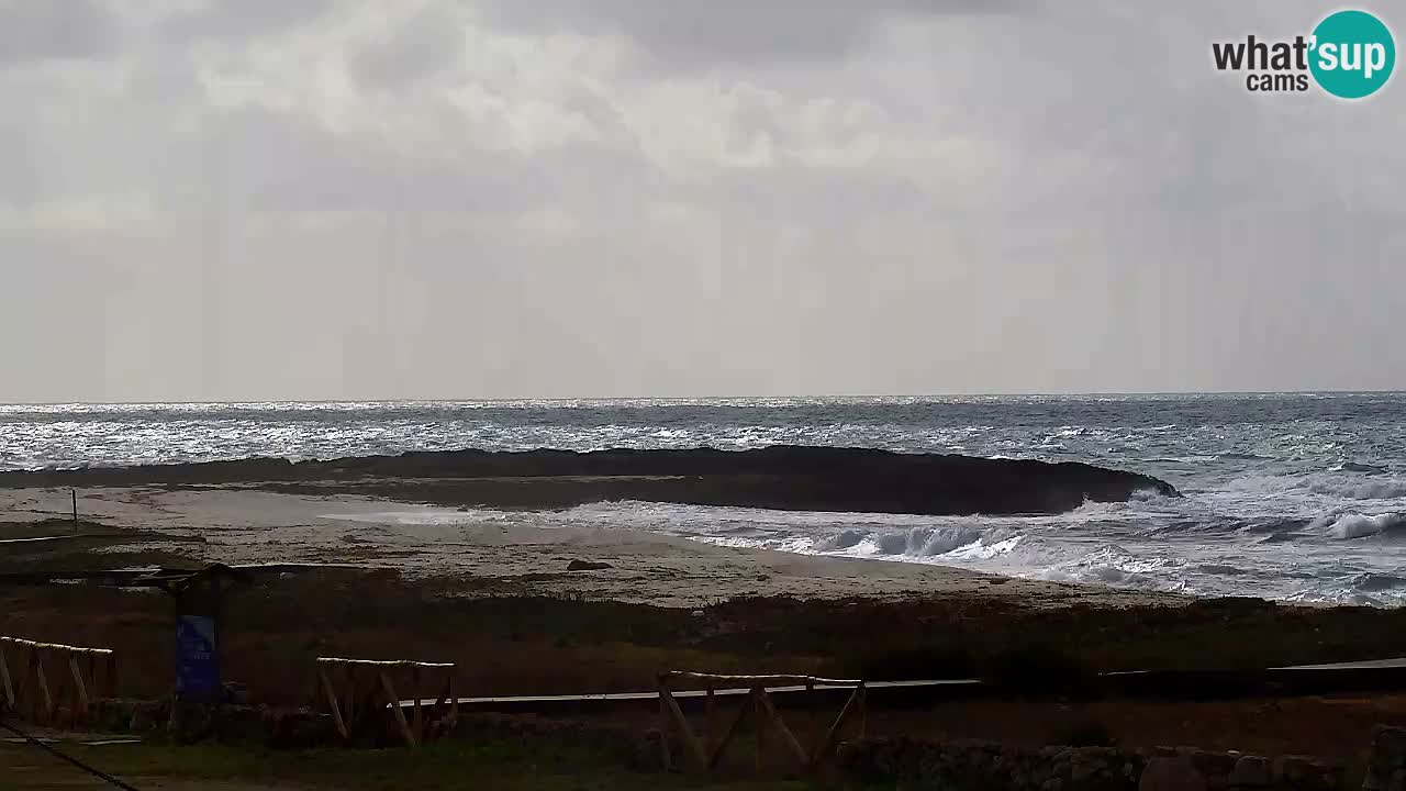 Webcam Is Arutas spiaggia | Oristano – Sardegna