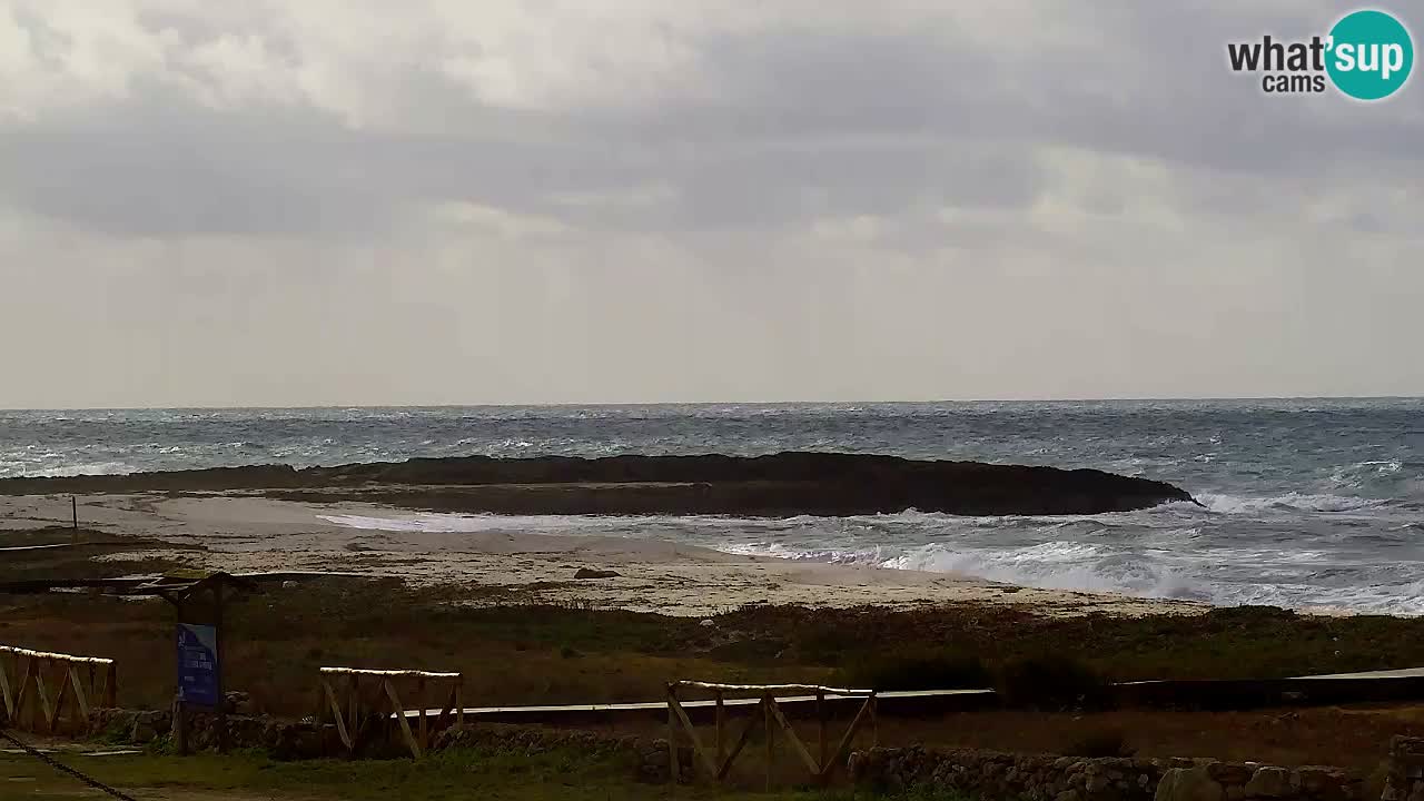 Plaža Is Arutas kamera | Oristano – Sardinija