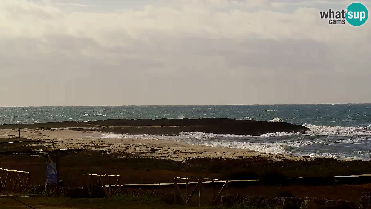 Web kamera Is Arutas plaža | Oristano – Sardinija