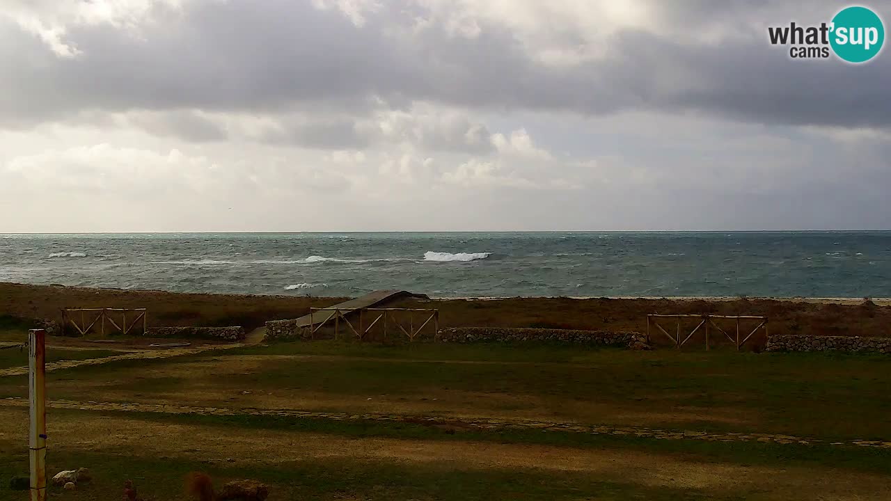 Strand Is Arutas webcam | Oristano – Sardinien