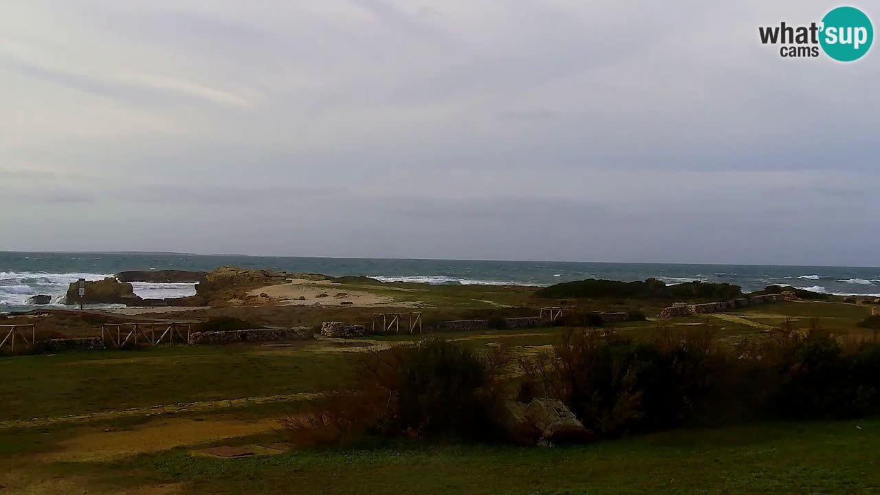 Strand Is Arutas webcam | Oristano – Sardinien