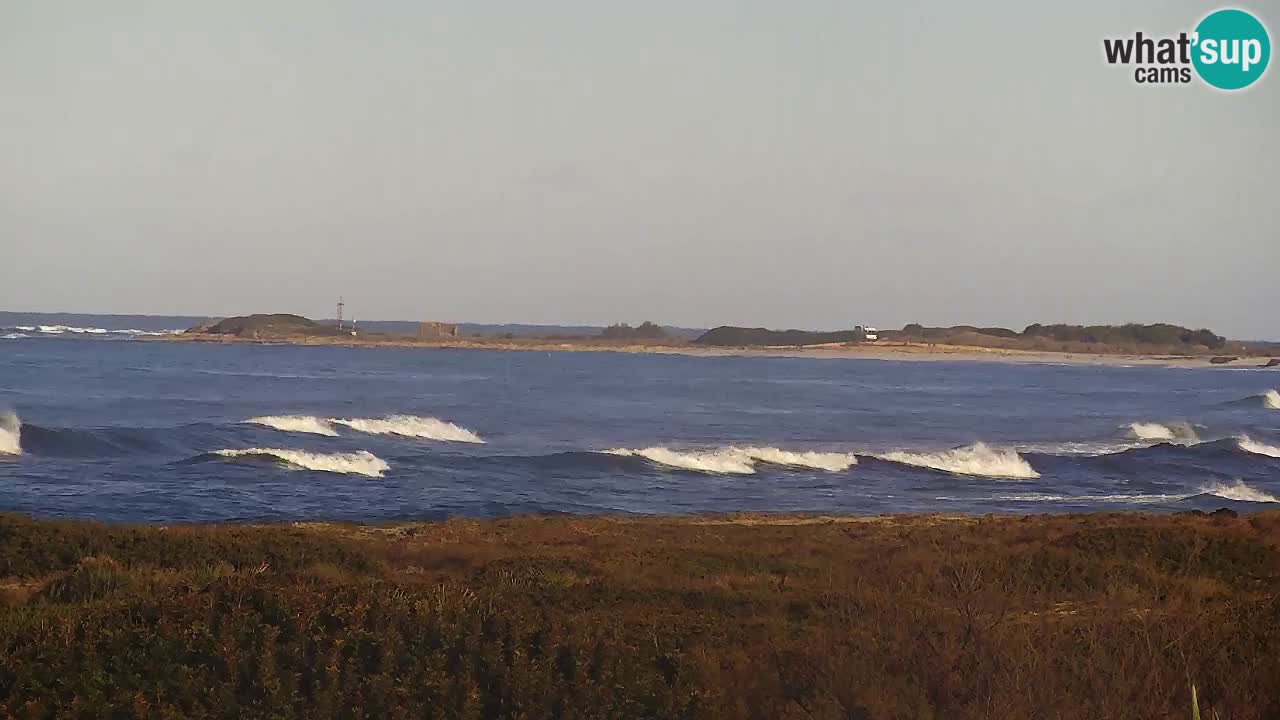 Is Arutas camera en vivo | Oristano – Cerdeña