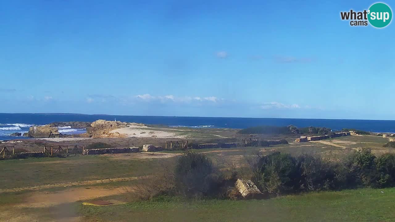 Is Arutas webcam beach | Oristano – Sardinia