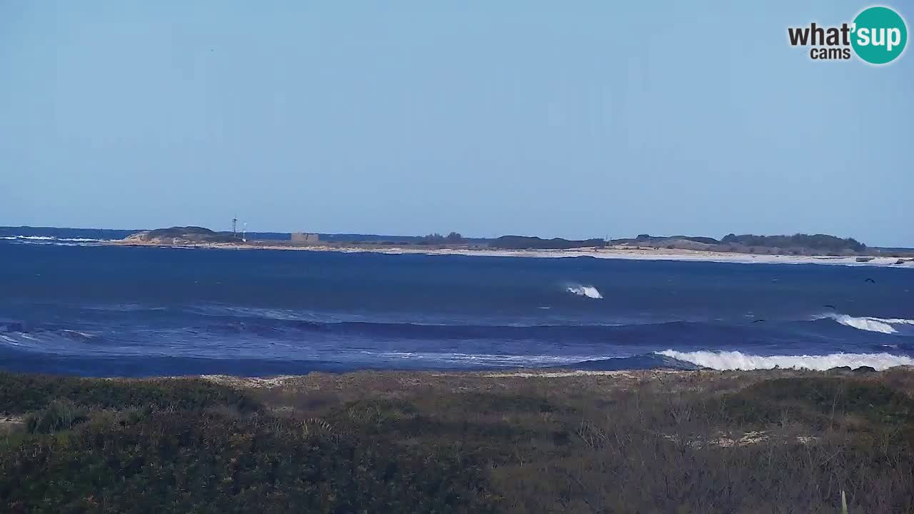 Webcam Is Arutas spiaggia | Oristano – Sardegna