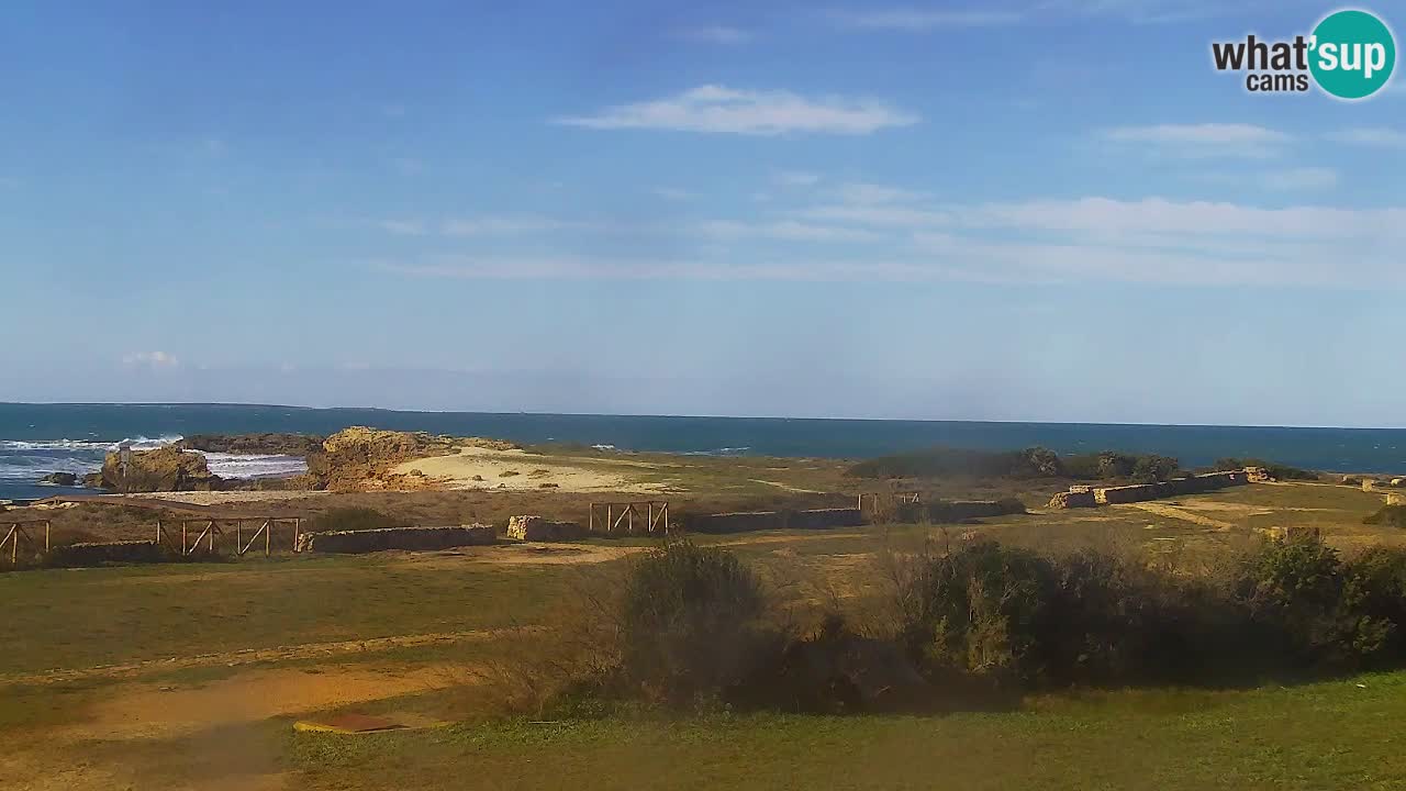 Webcam Is Arutas spiaggia | Oristano – Sardegna