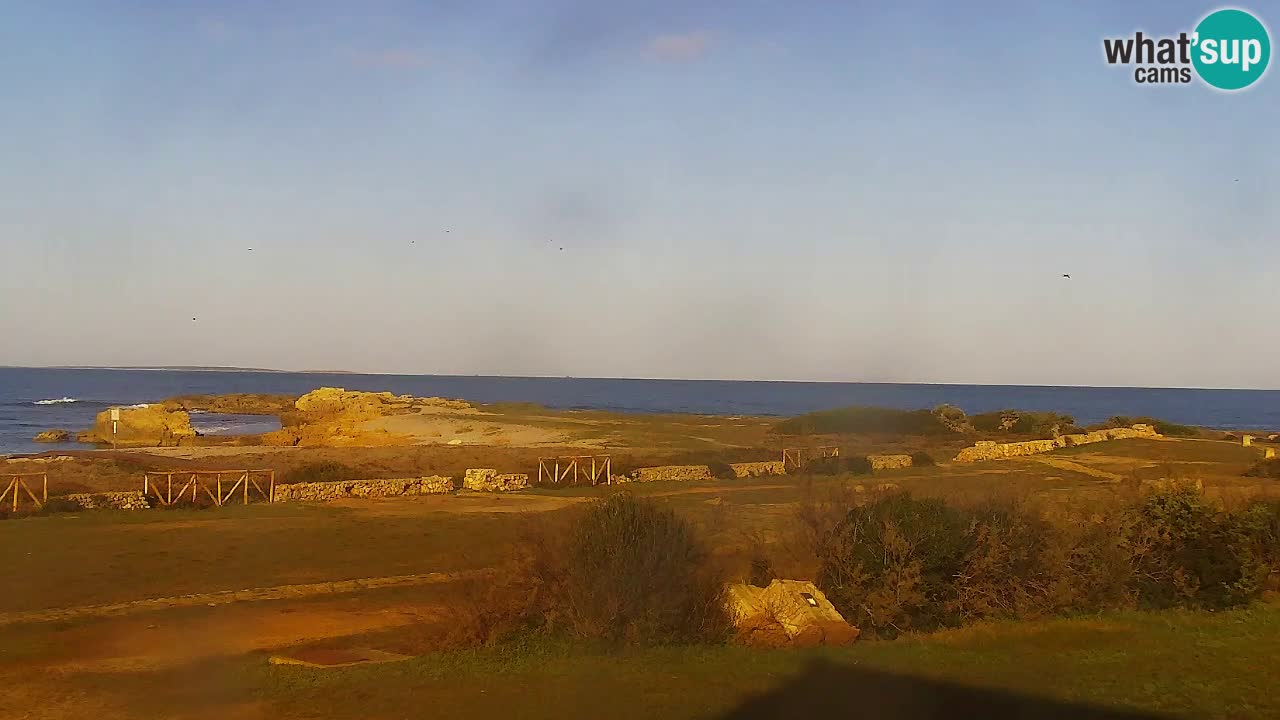 Is Arutas webcam beach | Oristano – Sardinia