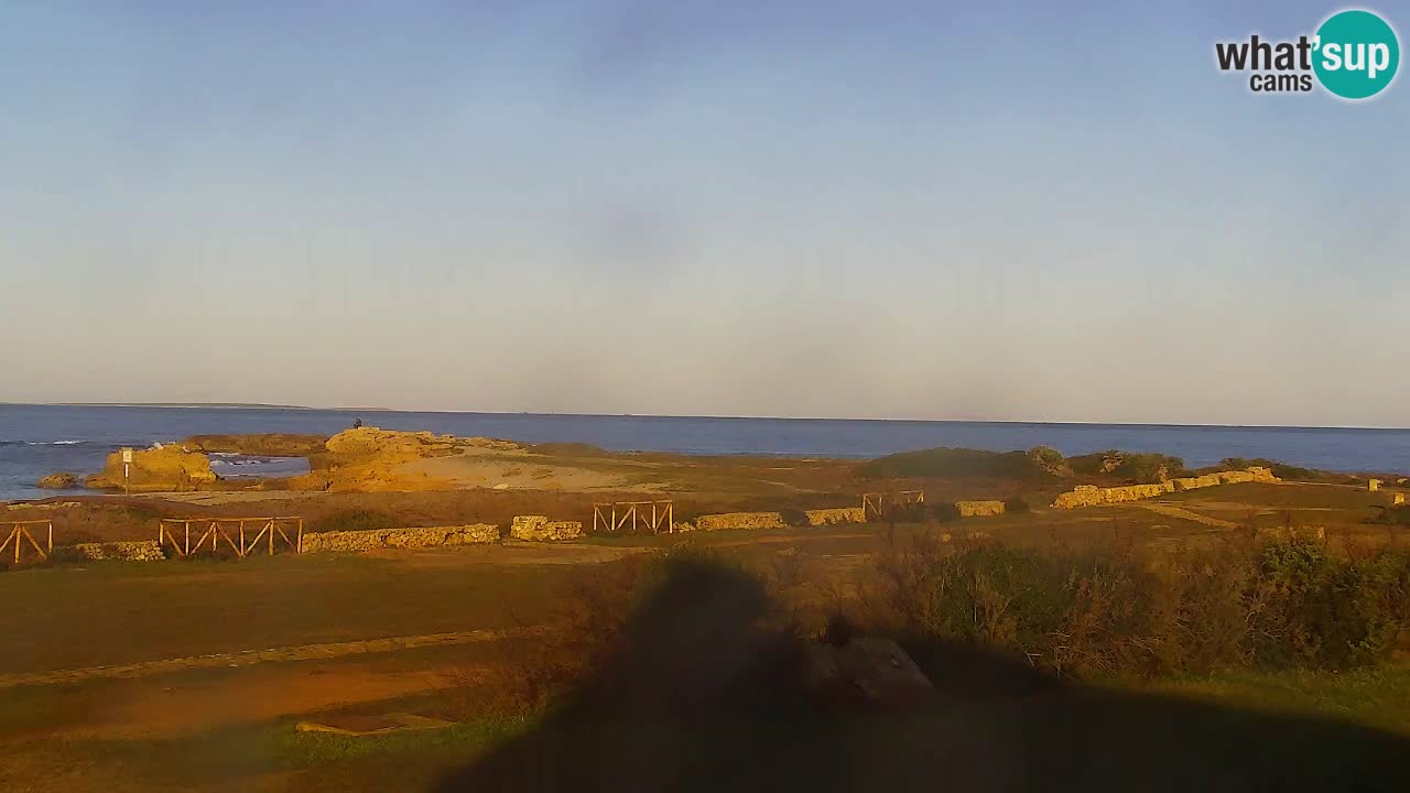 Is Arutas webcam beach | Oristano – Sardinia