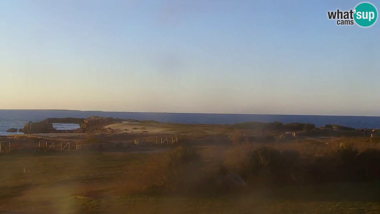 Is Arutas webcam beach | Oristano – Sardinia