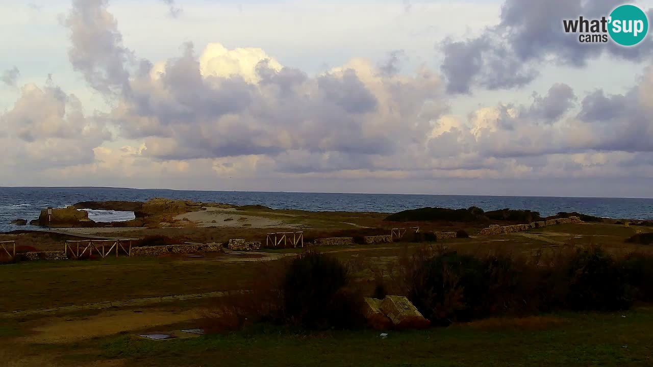 Is Arutas webcam beach | Oristano – Sardinia