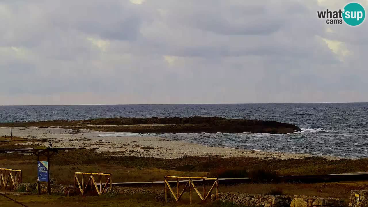 Plaža Is Arutas kamera | Oristano – Sardinija