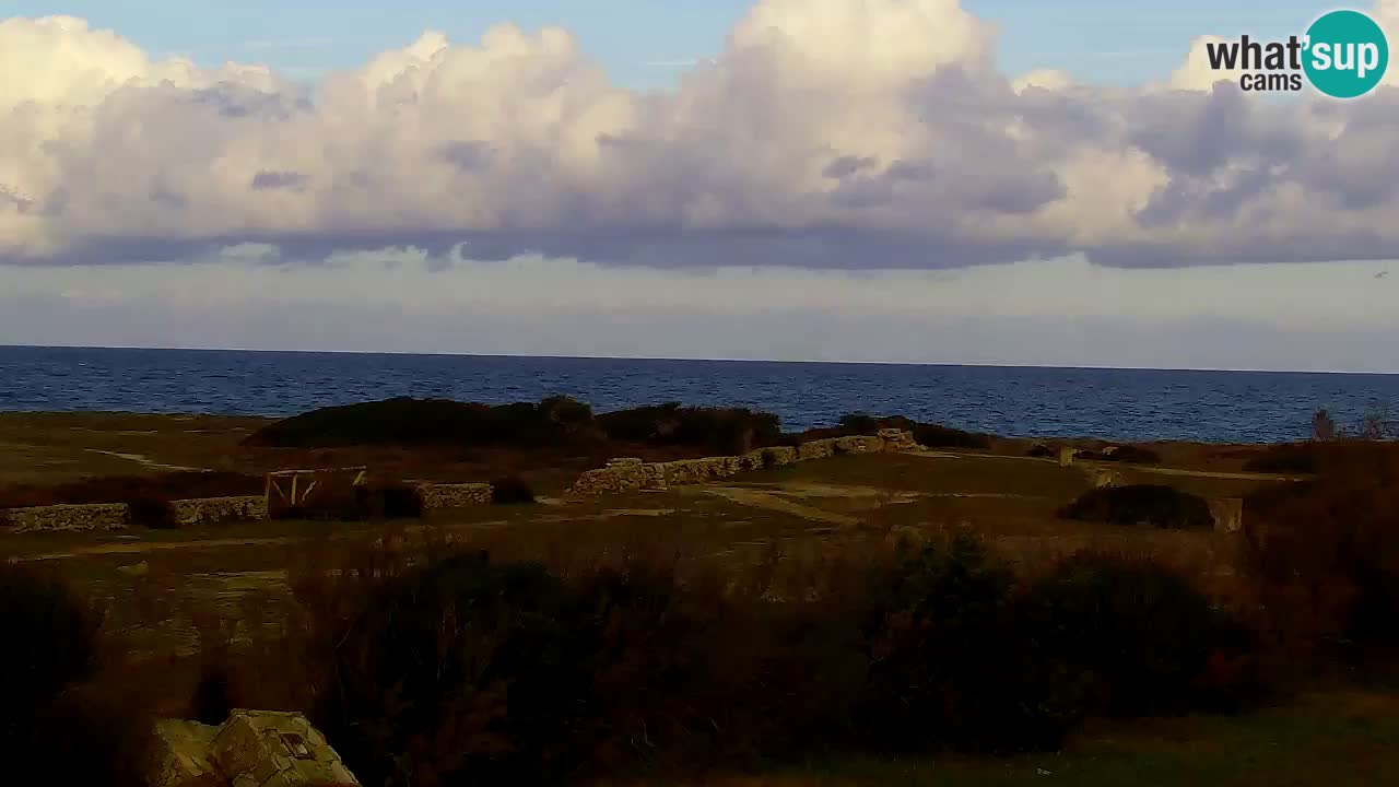 Webcam Is Arutas spiaggia | Oristano – Sardegna