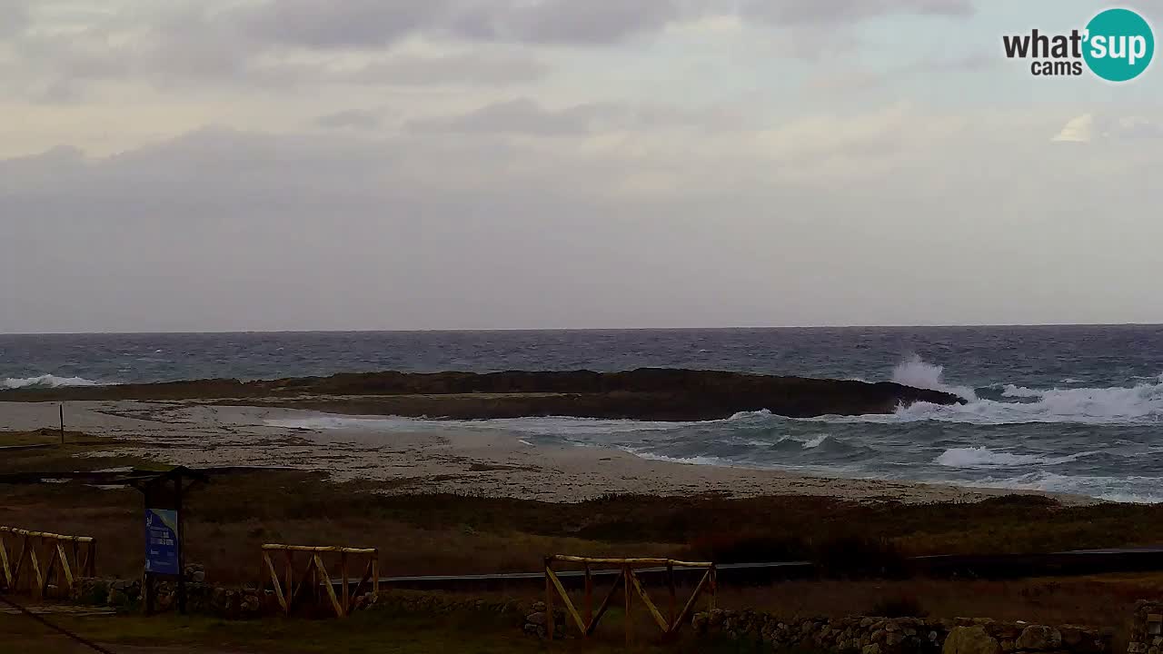 Strand Is Arutas webcam | Oristano – Sardinien