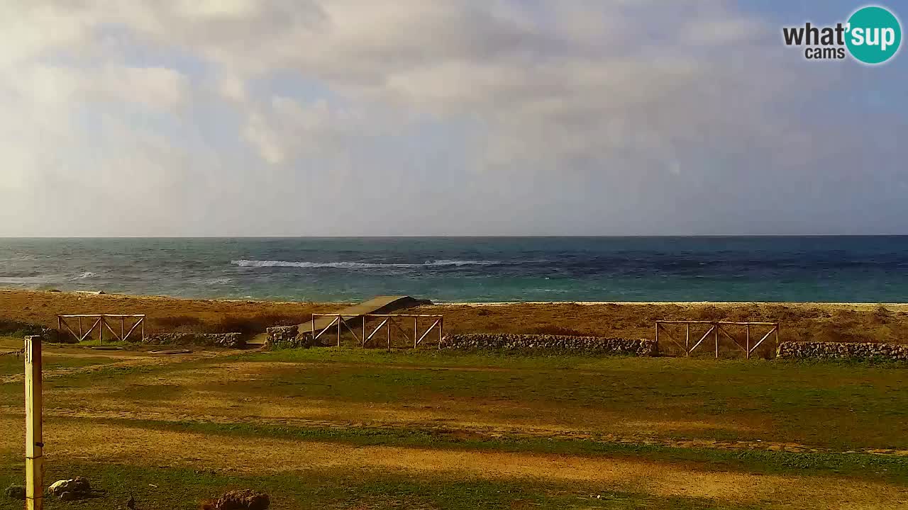 Is Arutas camera en vivo | Oristano – Cerdeña