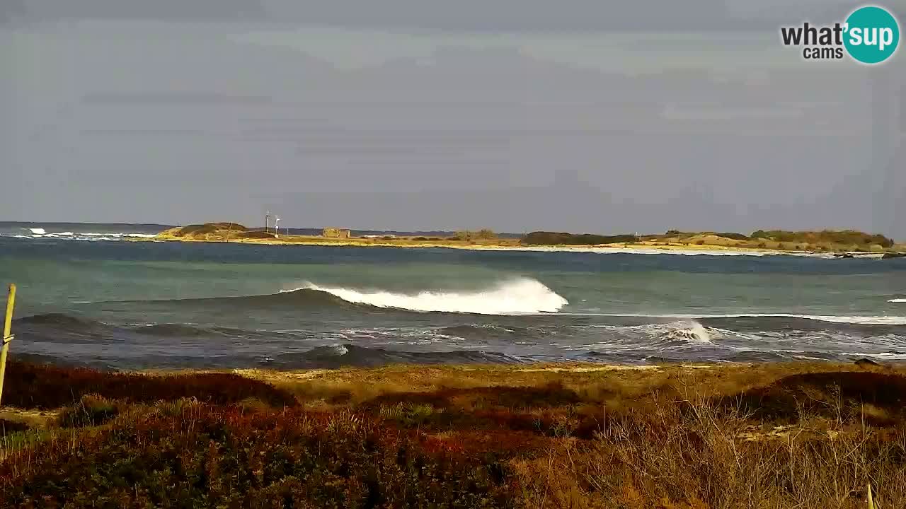 Is Arutas webcam beach | Oristano – Sardinia